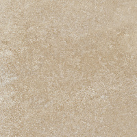APAVISA EARTH BEIGE NATURAL 60х60х7 G-1186