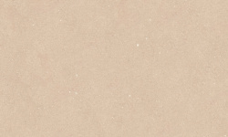 PORCELANOSA TERRA CLAY 59.6х150 G-276 мини 1