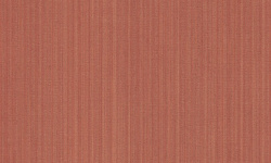 WILD 0.53х10 мини 1