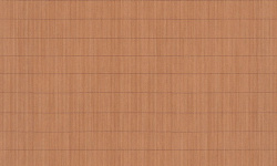 WILD 0.53х10.05 мини 1