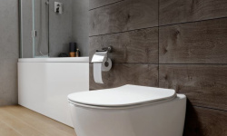 IS OLEAS M2 SmartFlush Механическая панель смыва, двойной смыв, хром мини 3 5