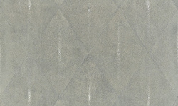 APARICI SHAGREEN GREY LAPPATO 59.55х59.55 G-3392 мини 1