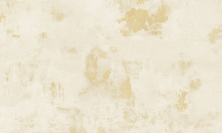 APAVISA MOOD IVORY NATURAL 49.75x99.55 G-7162 мини 3 2