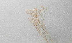 MILASSA КОЛЛЕКЦИЯ ICELAND. Ice 4 мини 3 3