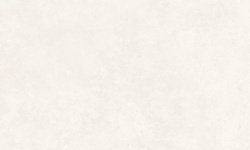 PERONDA GROUND BONE SP 100x100 BN-135 мини 1