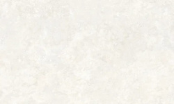 PERONDA AVIGNON BONE ST 100х275x0.6 BN-170 мини 3 4