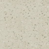 APAVISA SOUTH GREEN NATURAL 59.55х59.55 G-7146