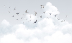 MILASSA КОЛЛЕКЦИЯ AMBIENT VOL.3. Spring Swallows AM11 мини 1