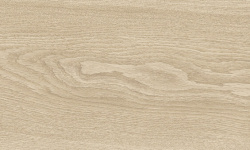 MUSEUM BLOOM DUNE SP 24х151x0.9 M-104 мини 3 3