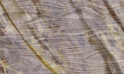 APARICI VIVID RED LOUISE BREEZE 29.75х99.55 G-599 мини 1