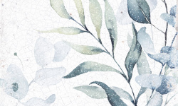 HARMONY MAYOLICA WOODS 15х15 Q-54 мини 1