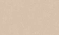 PORCELANOSA TERRA CLAY L 120х120 G-392 мини 1