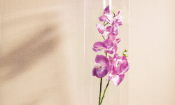 MILASSA КОЛЛЕКЦИЯ NEO CLASSIC. Neo5 мини 3 2