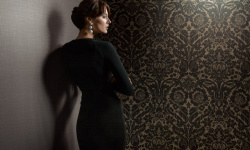 LOYMINA КОЛЛЕКЦИЯ GALLERY CLASSIC. Gallery Damask GC4 мини 3 2