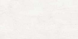 MUSEUM NUMEN WHITE SP 60х120x0.9 M-101