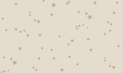 WHIMSICAL 0,52х10,05 мини 1