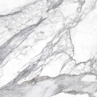 MIRAGE BIANCO LUNENSIS JW 12 LUC SQ 120х120х9