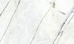 PORCELANOSA XLIGHT CALACATTA GREEN POLISHED 120х120x6 G-2531 мини 1