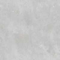 PORCELANOSA DOVER ACERO L 59.6х59.6 G-354