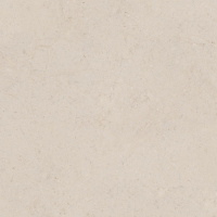 PORCELANOSA DORCIA BONE L 80х80 G-369