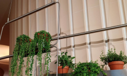 HARMONY BOW CLAY 15х45 H-35 мини 3 6