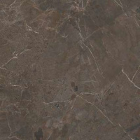 PORCELANOSA BRESCIA MOKA 120х120 G-392