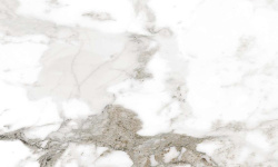 TERZADIMENSIONE CAPRAIA BRECCIA POLISHED 120х278х0.65 мини 3 2