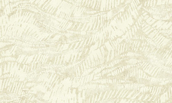 ESSENCE 0.52х10.05 мини 1