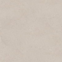 PORCELANOSA DORCIA ACERO L 120х120 G-392