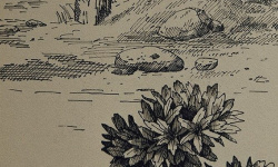 MIRAGE MAISON BLUE PP SP SQ 60х120x0.6 мини 3 7