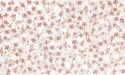 MIRAGE CAMILLE ROSE SP SQ 120х278х0.6 мини 1