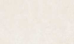 PERONDA GROUND BONE 33.3х100 BN-65 мини 1