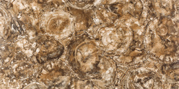 APAVISA PETRIFIED WOOD POLISHIED 59.55х119.3 G-1442