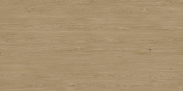 PORCELANOSA XTONE NEDA NATURE 04 160х320x0.6 G-1051