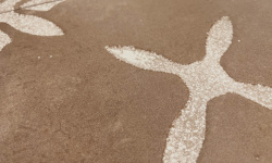 HARMONY PANGEA CHOCOLATE FLOWER LT 22.3х22.3 Q- 61 мини 3 2