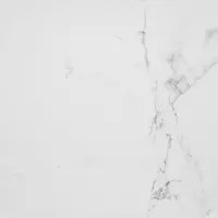 керамогранит PORCELANOSA CARRARA BLANCO BRILLO L 59.6х59.6 G-347