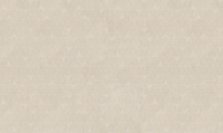 SENSATION 0.7х1 мини 1