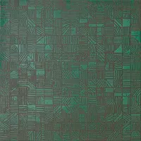 керамогранит MATER MUTINA SEGNO VERDE 120х120x0.9