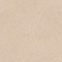 PORCELANOSA DORCIA MARFIL L 80х80 G-369