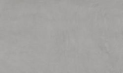 APAVISA EQUINOX GREY NATURAL 119.3х260 G-3381 мини 1