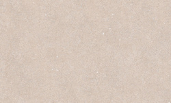 PORCELANOSA TERRA TOPO 59.6х150 G-276 мини 1