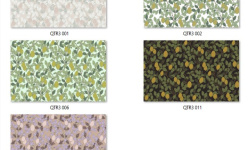 LOYMINA КОЛЛЕКЦИЯ EQUATOR. Citron QTR3 мини 3 6