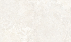 PERONDA AVIGNON BONE ST 100х100x0.8 BN-50 мини 3 3
