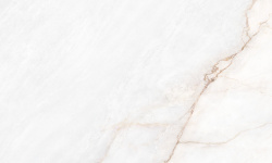 MUSEUM DAHLIA WHITE EP 60х120 M-40 мини 1