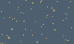 WHIMSICAL 0.52х10.05  мини 1