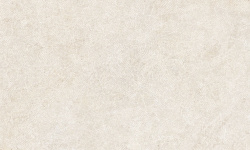 PERONDA HAVEN BONE TEXTURED 33.3х100x0.86 BN-65 мини 3 2