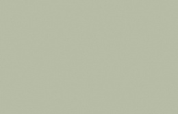 LOYMINA КОЛЛЕКЦИЯ A LA PRIMA. Plain cotton PM13