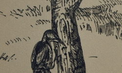 MIRAGE MAISON BLUE PP SP SQ 60х120x0.6 мини 3 8