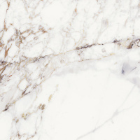 APAVISA CALACATTA VIOLA POLISHED 59.55х59.55 G-1250