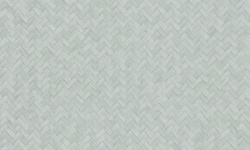 WILD 0.53х10.05 мини 1